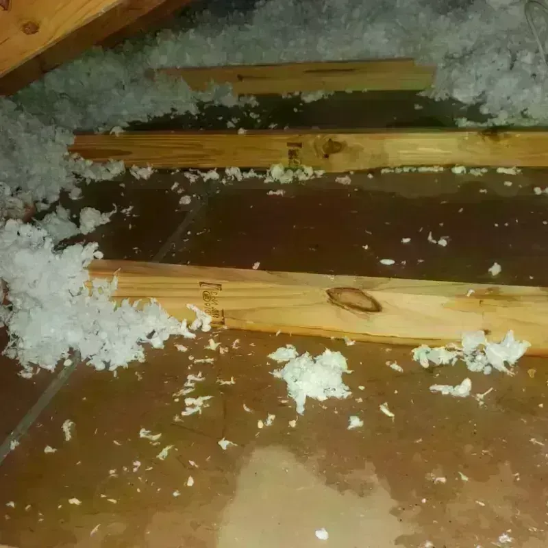 Attic Water Damage in Cambridge, IL