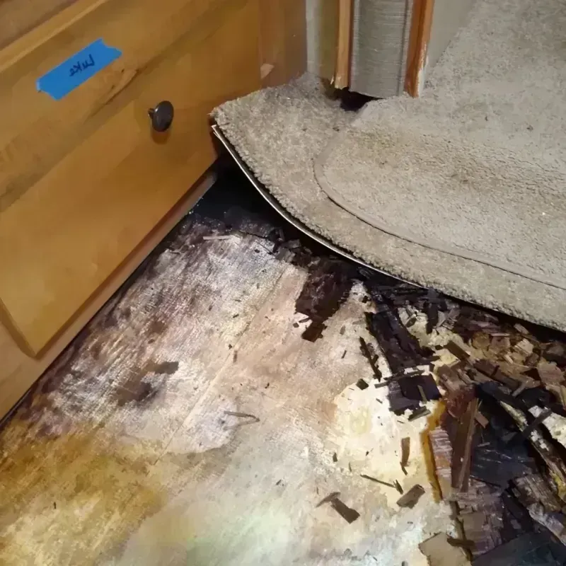 Best Wood Floor Water Damage Service in Cambridge, IL